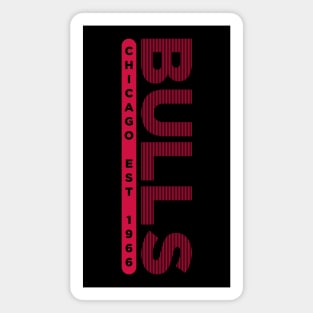 Chicago Bulls 10 Magnet